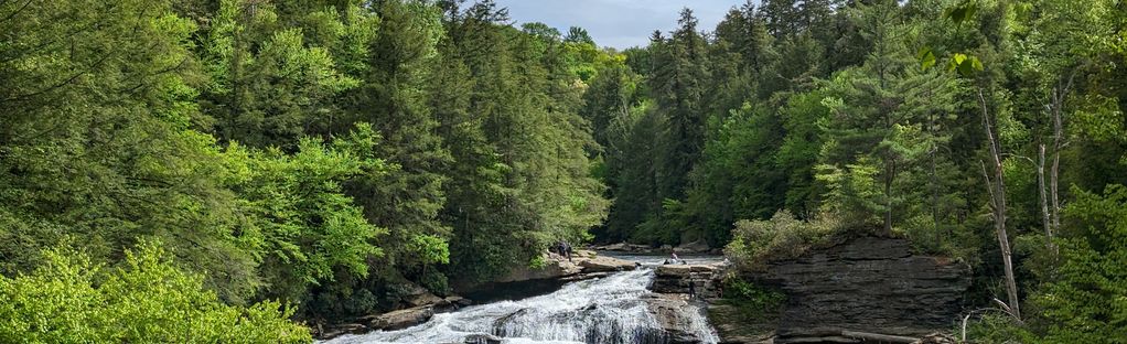 swallow falls