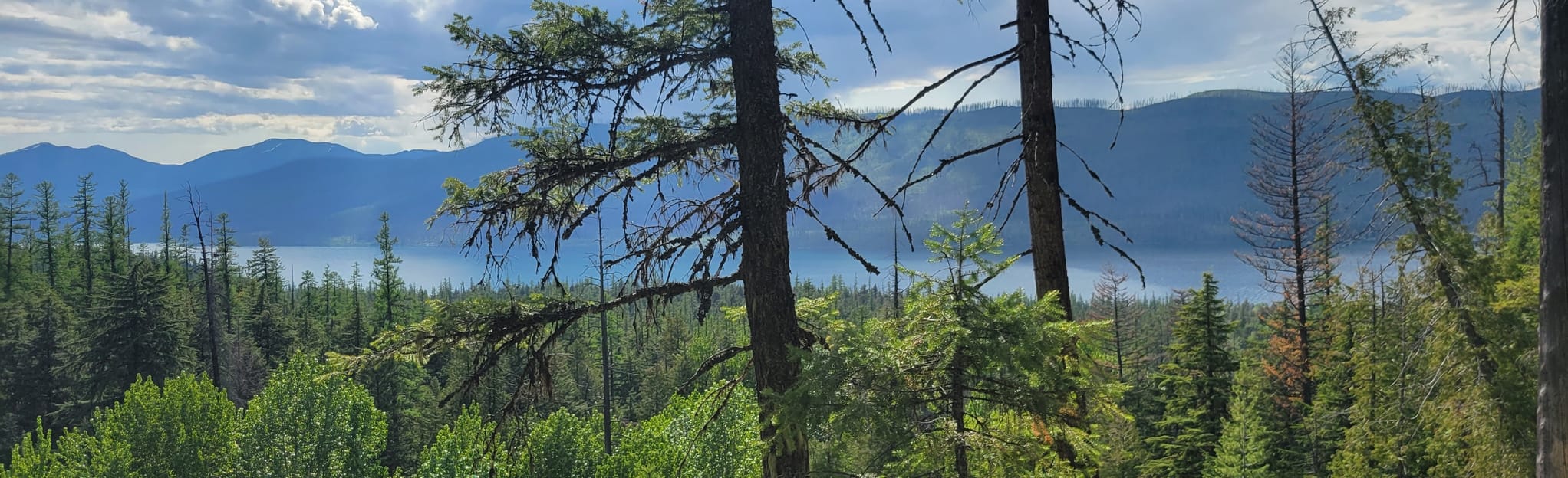 Comeau Pass via Gunsight Pass and Sperry Lake Trail, Montana 103