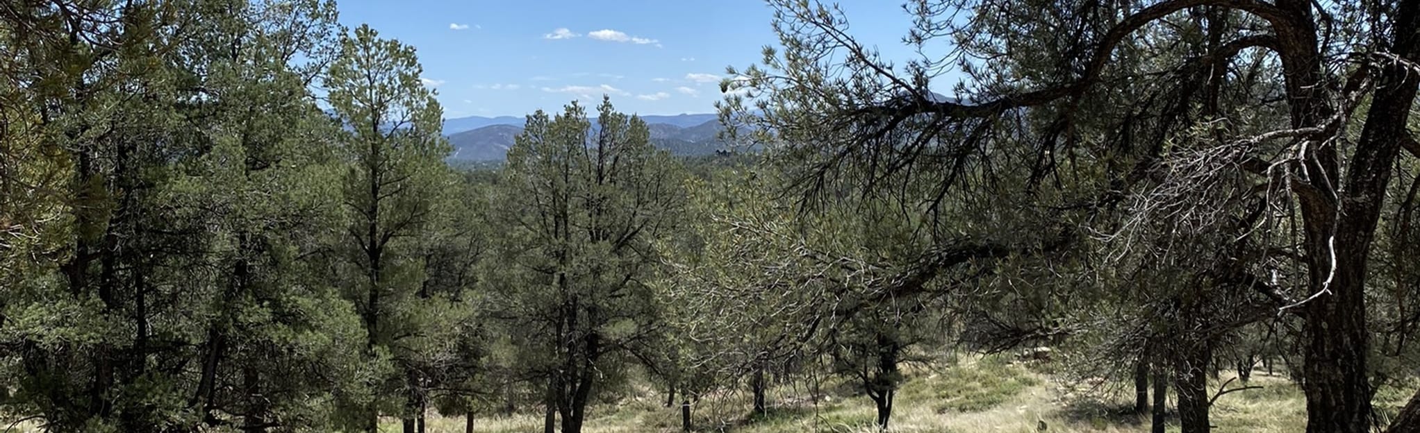 Houston Mesa and Pyeatte Draw OHV Trail, Arizona - 51 Reviews, Map ...