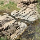 Dragonfly Trail, New Mexico - 648 Reviews, Map | AllTrails