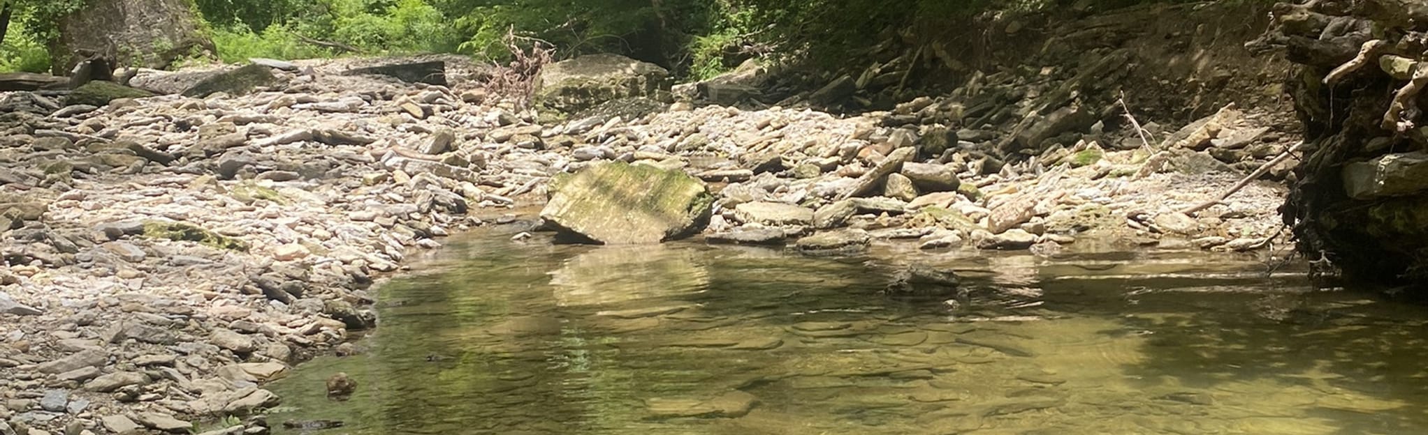 Clifty Falls Trail 2 103 Reviews - EyJidWNrZXQiOiJhc3NldHMuYWxsdHJhaWxzLmNvbSIsImtleSI6InVwbG9hZHMvcGhvdG8vaW1hZ2UvNjAzMDUyODcvNGU1NmJmZmJlNTJkZjQxMzE5NThjY2MxY2ZjNDEzM2MuanBnIiwiZWRpdHMiOnsidG9Gb3JtYXQiOiJqcGVnIiwicmVzaXplIjp7IndpZHRoIjoyMDQ0LCJoZWlnaHQiOjYyNCwiZml0IjoiY292ZXIifSwicm90YXRlIjpudWxsLCJqcGVnIjp7InRyZWxsaXNRdWFudGlzYXRpb24iOnRydWUsIm92ZXJzaG9vdERlcmluZ2luZyI6dHJ1ZSwib3B0aW1pc2VTY2FucyI6dHJ1ZSwicXVhbnRpc2F0aW9uVGFibGUiOjN9fX0=