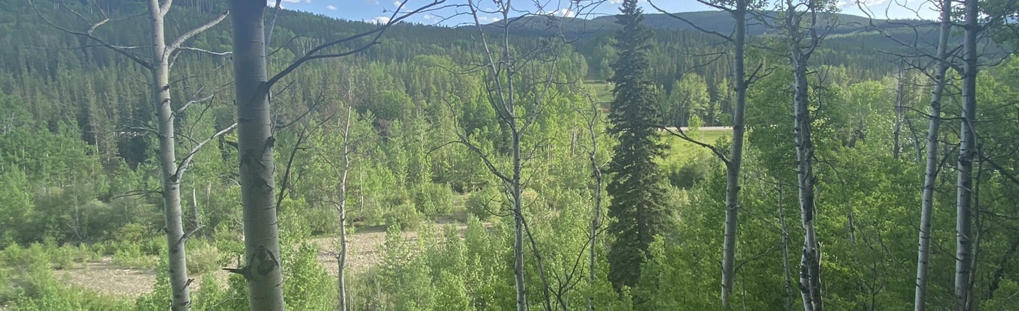 Snowshoe Hare Loop, Alberta, Canada 734 Reviews, Map AllTrails