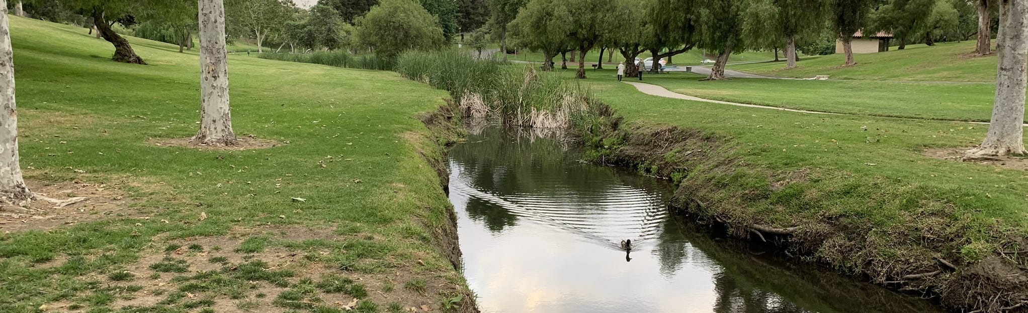 Craig Park Walkabout Trail 688 Reviews, Map California AllTrails