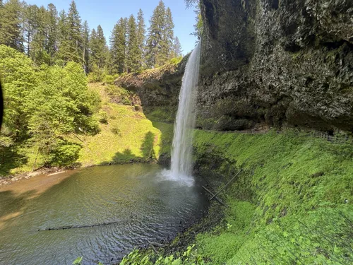 Silver Falls State Park: North Canyon Nature Play Area - Learning