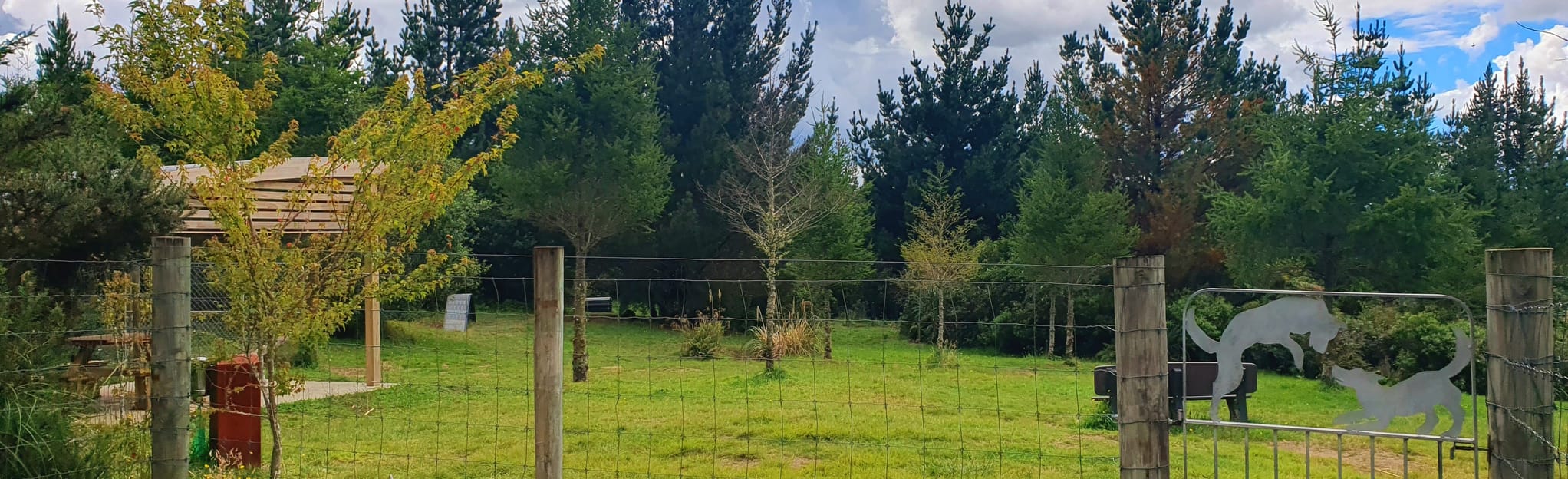 AllTrails TECT Dog Park Loop 2 Reviews, Map Bay of Plenty, New Zealand