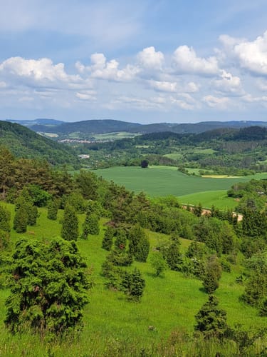 Wacholderpfad Roßbach P9 (Premiumwanderweg)