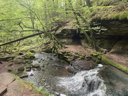 Ostweg Etappe 1: Pforzheim - Bad Liebenzell