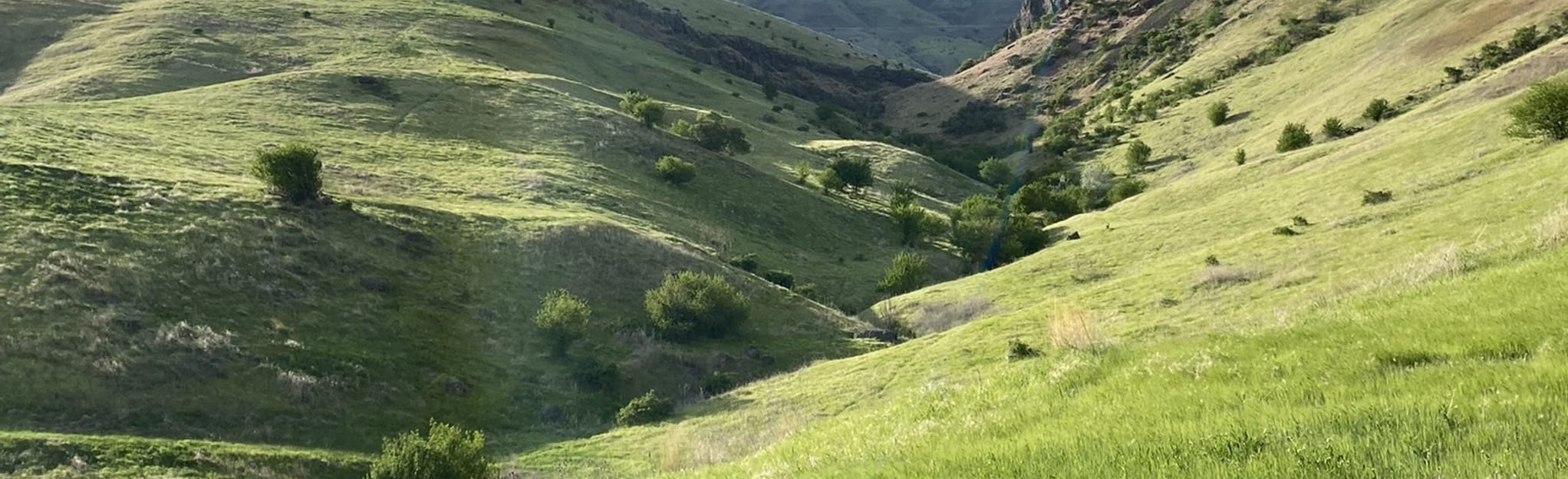 White Bird Battlefield 25 Reviews, Map Idaho AllTrails