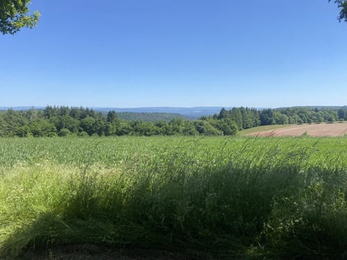 Am Aussichtsturm Zemmer