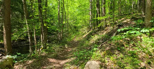 2023 Best Paddle Sports Trails in Otter Lake | AllTrails