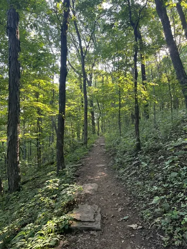 Best Bird Watching Trails in Monte - EyJidWNrZXQiOiJhc3NldHMuYWxsdHJhaWxzLmNvbSIsImtleSI6InVwbG9hZHMvcGhvdG8vaW1hZ2UvNjAzMzgwNDkvN2UzMWRkNDllODBkNWJhMzVlOGQ0OTQ5YWFmYTA1Y2EuanBnIiwiZWRpdHMiOnsidG9Gb3JtYXQiOiJ3ZWJwIiwicmVzaXplIjp7IndpZHRoIjo1MDAsImhlaWdodCI6NTAwLCJmaXQiOiJpbnNpZGUifSwicm90YXRlIjpudWxsLCJqcGVnIjp7InRyZWxsaXNRdWFudGlzYXRpb24iOnRydWUsIm92ZXJzaG9vdERlcmluZ2luZyI6dHJ1ZSwib3B0aW1pc2VTY2FucyI6dHJ1ZSwicXVhbnRpc2F0aW9uVGFibGUiOjN9fX0=