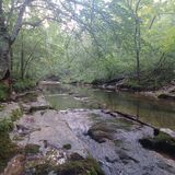 Little Missouri Trail, Arkansas - 315 Reviews, Map | AllTrails