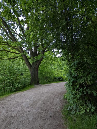 Um den Flötenteich