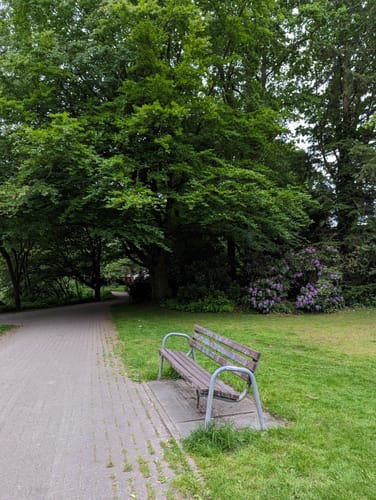 Um den Flötenteich