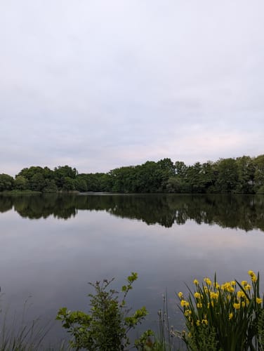 Um den Flötenteich