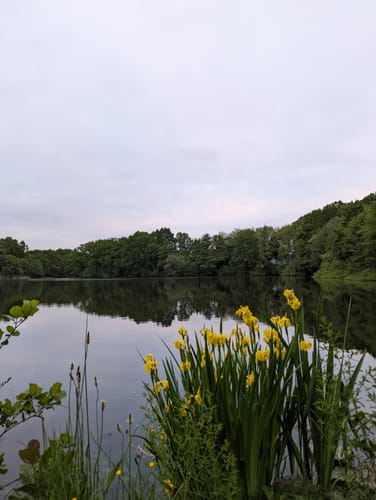 Um den Flötenteich