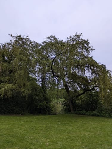 Um den Flötenteich