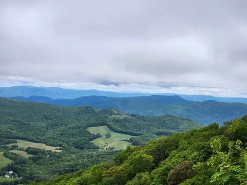 2023-best-10-trails-and-hikes-in-roan-mountain-alltrails