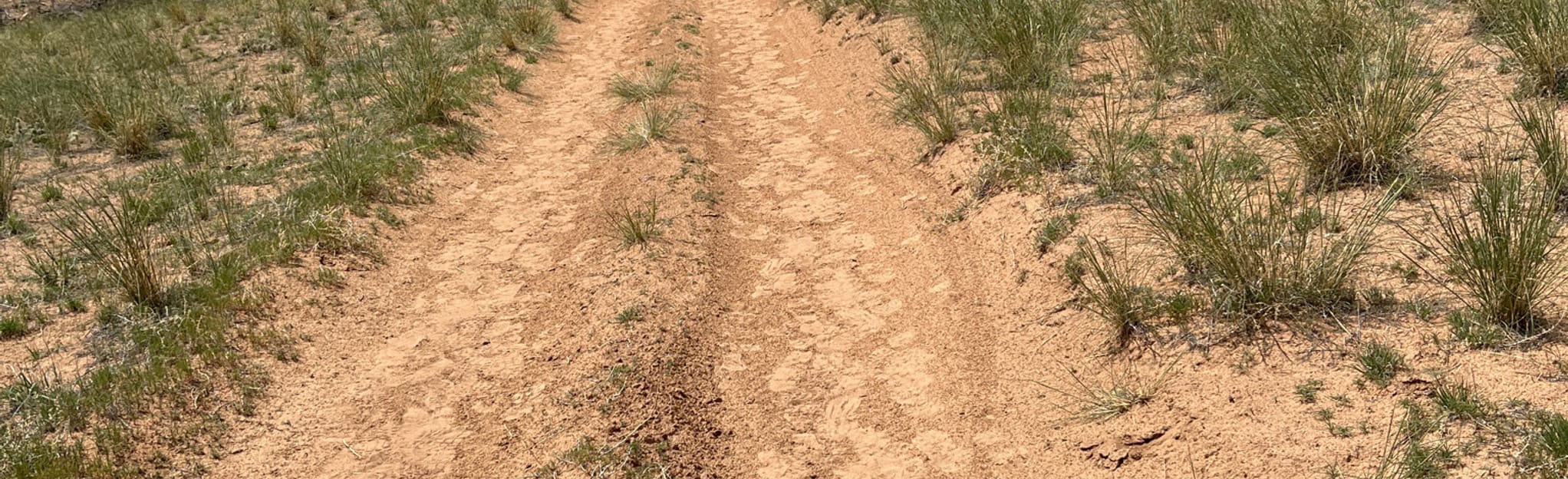 Calf Canyon, Pine Canyon, and Cow Canyon, Utah 35 Reviews, Map