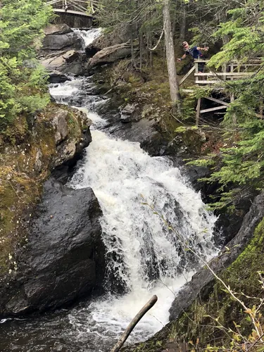 Best Hikes and Trails in SainteEuphémieSurRivièreDuSud AllTrails