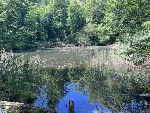 Glindower Alpen - Panoramaweg Werder