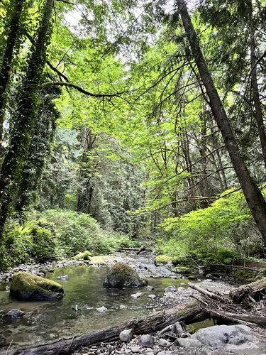 Best Hikes and Trails in Grand Ridge Park | AllTrails