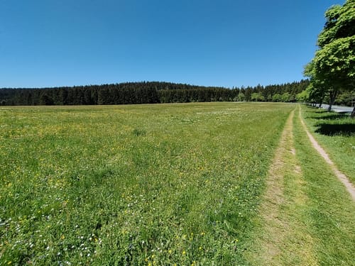 Rennsteig Etappe 5: Allzunah -Friedrichshöhe