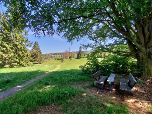 Rennsteig Etappe 5: Allzunah -Friedrichshöhe