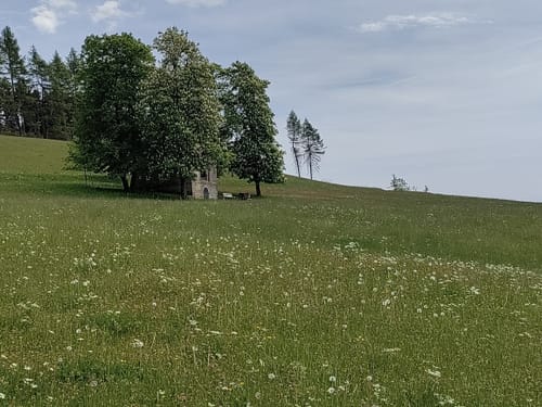 Rennsteig Etappe 6: Friedrichshöhe - Spechtsbrunn