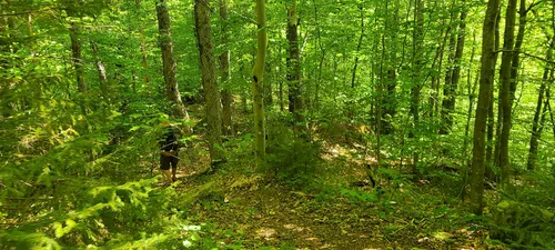 2023 Best Backpacking Trails in Otter Lake | AllTrails