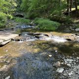 Letchworth State Park Gorge Trail, New York - 687 Reviews, Map | AllTrails