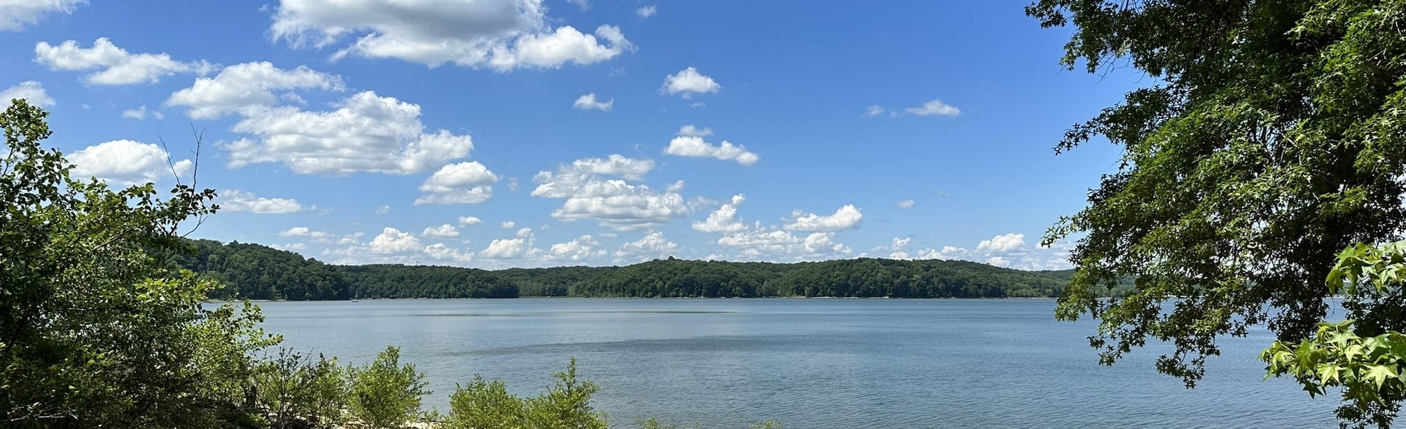 Saddle Creek Paddle Trip via Cutright Boat Ramp: 21 Reviews, Map ...