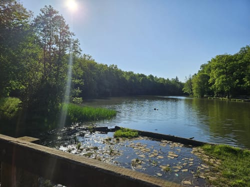 Netzbachweiher -Unterer Italienerweg - Netzbachhütte