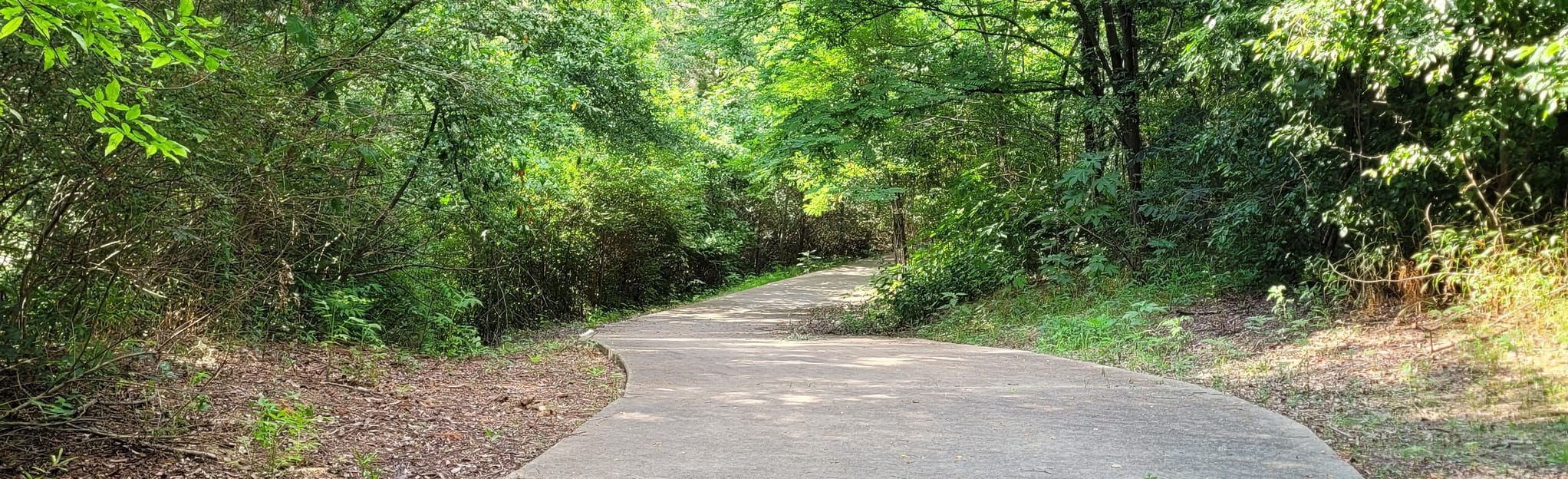 Conger Park Loop, Mississippi 12 Reviews, Map AllTrails