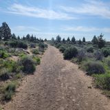 Crack-in-the-Ground Trail, Oregon - 282 Reviews, Map | AllTrails