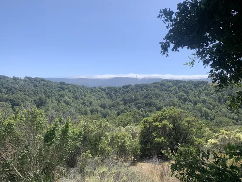 Best Hikes and Trails in Pulgas Ridge Open Space Preserve | AllTrails