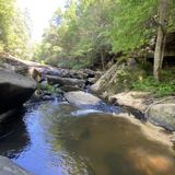 Bark Camp Trail, Kentucky - 517 Reviews, Map | AllTrails