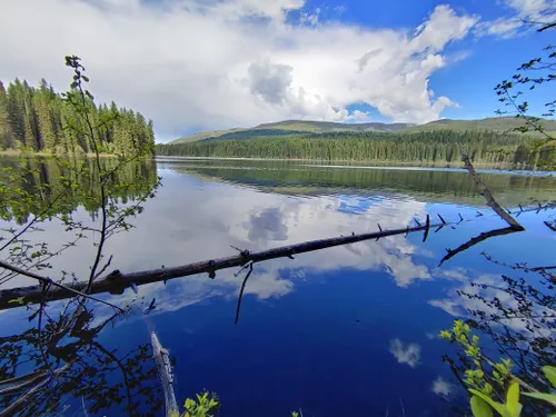 2023 Best Views Trails In Kootenay Boundary B Lower Columbia-Old-Glory ...