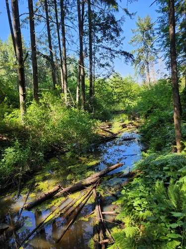 Best Hikes and Trails in Joint Base Lewis-McChord | AllTrails