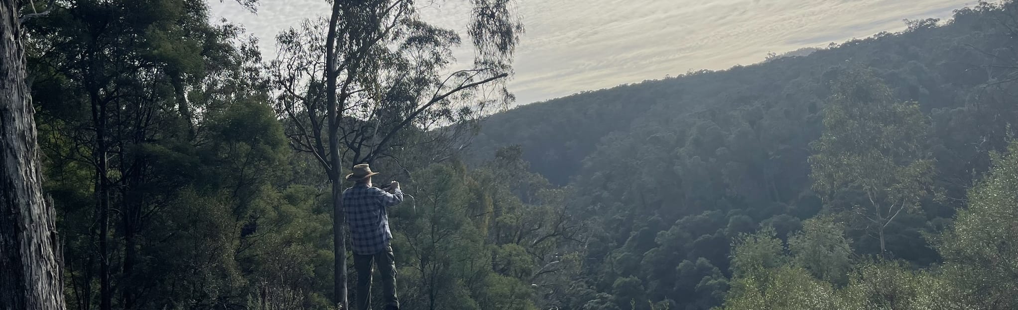 Boggy Creek Victoria, Australia 3 Reviews, Map AllTrails