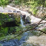 Shohola Falls Trail, Pennsylvania - 369 Reviews, Map | AllTrails