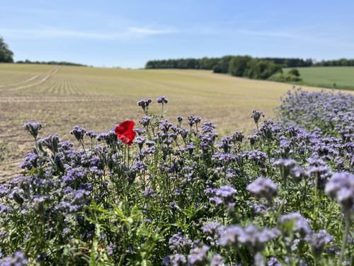 Rundweg 2 Neusaß