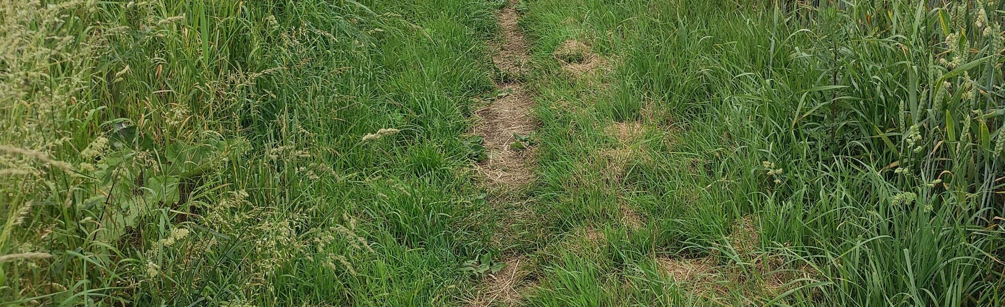 HolmeonSpaldingMoor, Everingham and Harswell Circular, East Riding