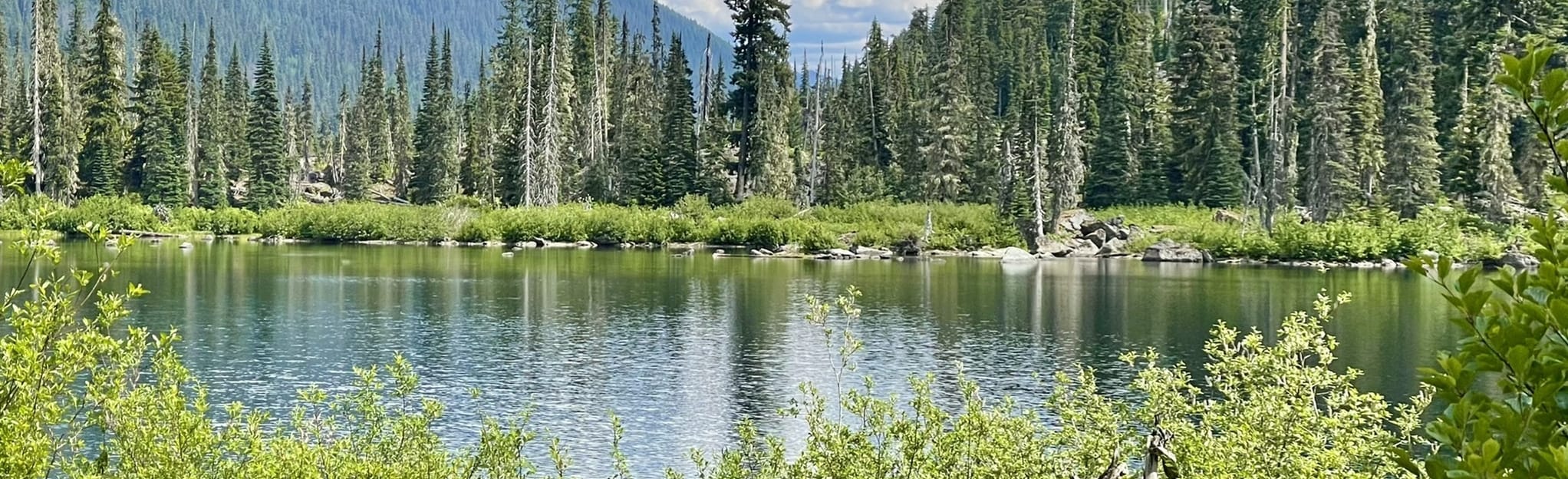 Spectacle Lake 571 foto's Washington AllTrails