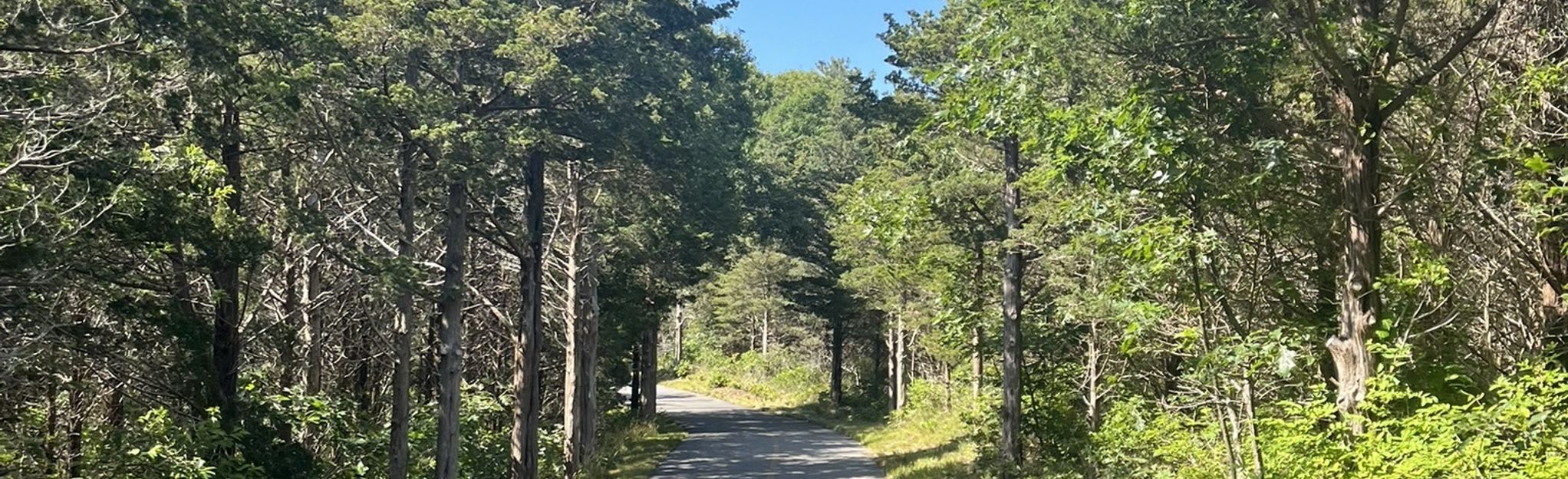 nauset bike trail