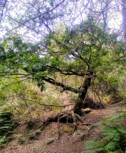 2023 Best Kid Friendly Trails in Réserve naturelle régionale des Landes