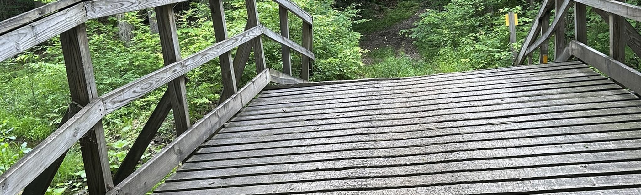 Lost Nation Stream Loop 16 Reviews, Map New York AllTrails