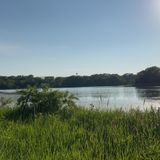 Prairie Rose Lake Loop, Iowa - 68 Reviews, Map | AllTrails