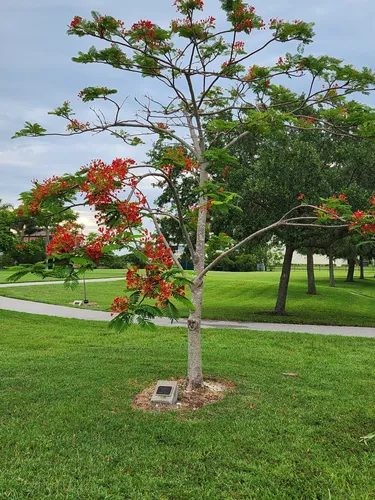 Best Hikes and Trails in Manatee Sanctuary Park | AllTrails