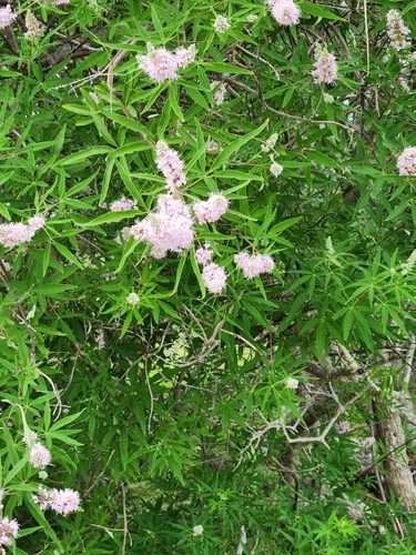 Best Hikes and Trails in Manatee Sanctuary Park | AllTrails